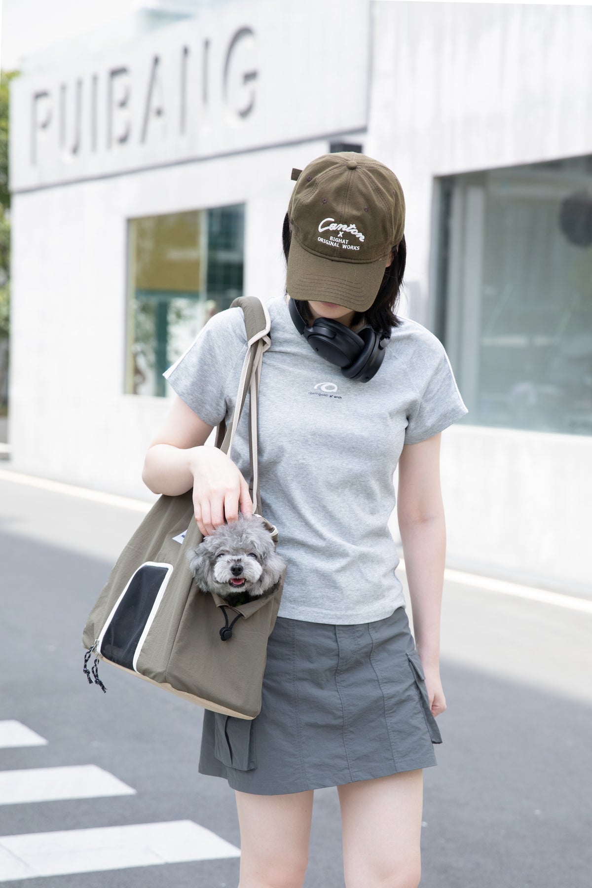 Structured Pet Tote Carrier Bag
