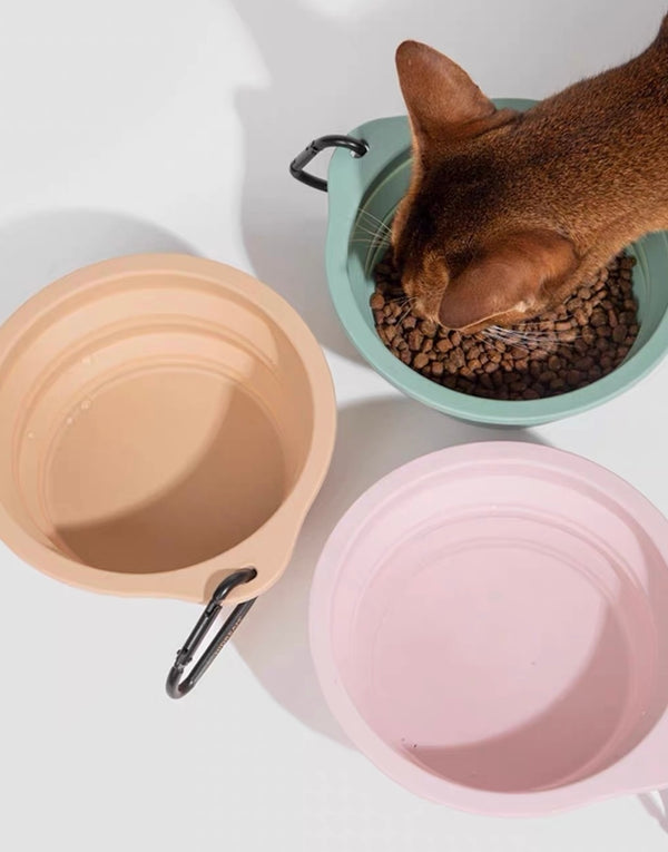 Perfect for food or water whenever your pet needs it.