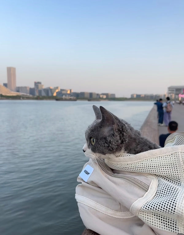 From daily walks to weekend adventures.