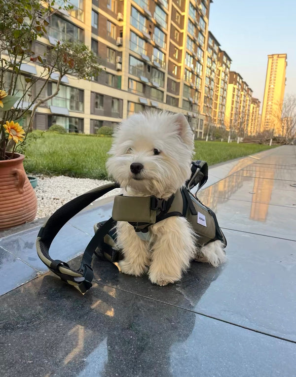 Secure support, hands-free comfort.