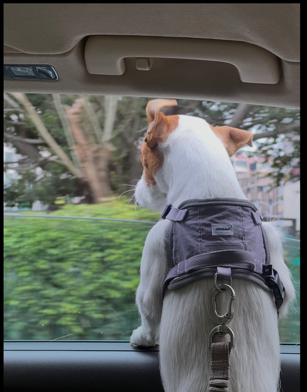 Enjoy the view with confidence and control.