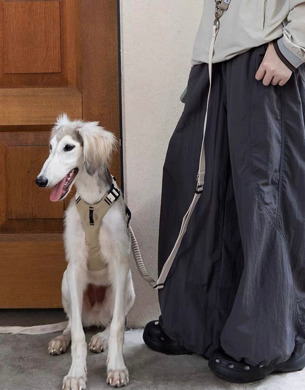 Designed for everyday walks, training and outdoor adventures.