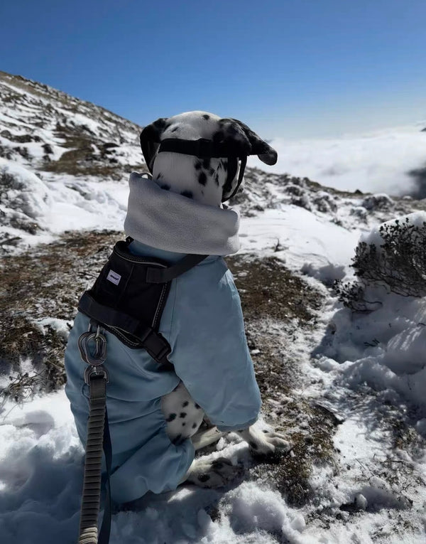 Designed to stay secure, wherever your next adventure takes you.