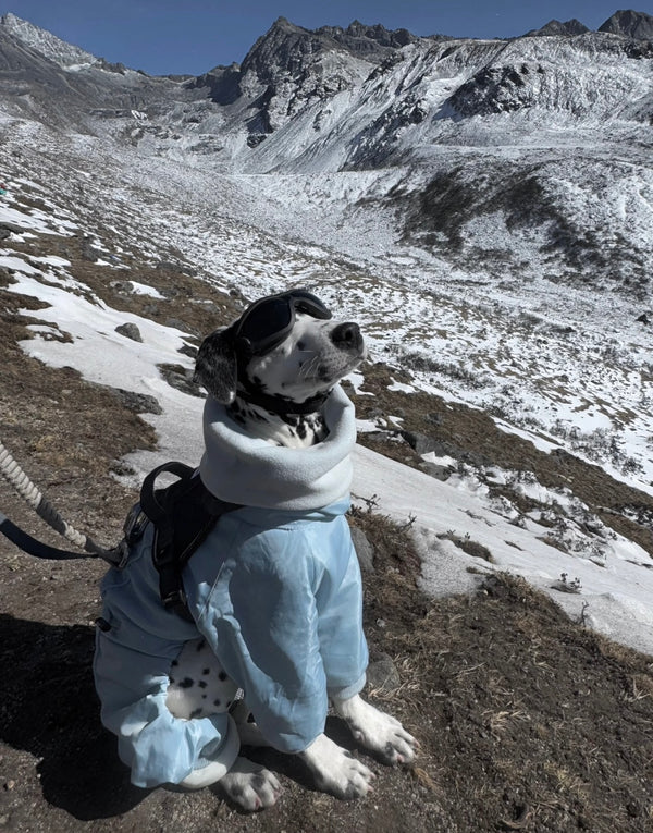 From city streets to mountain trails, always by your side.