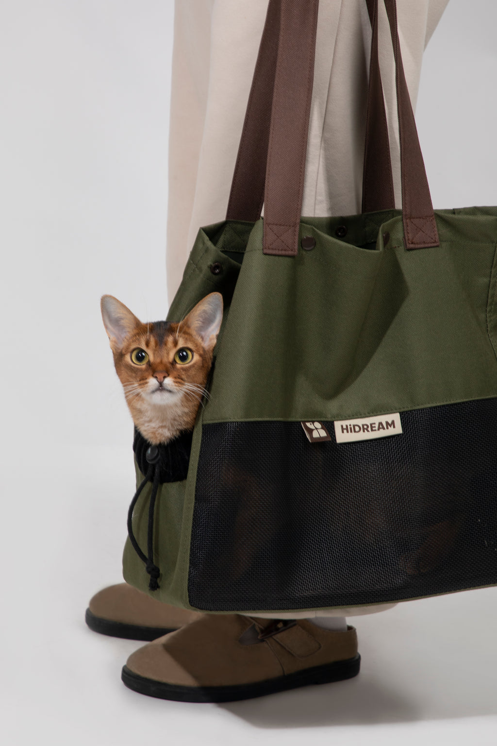 Cat sitting comfortably inside a pet shoulder carrier bag