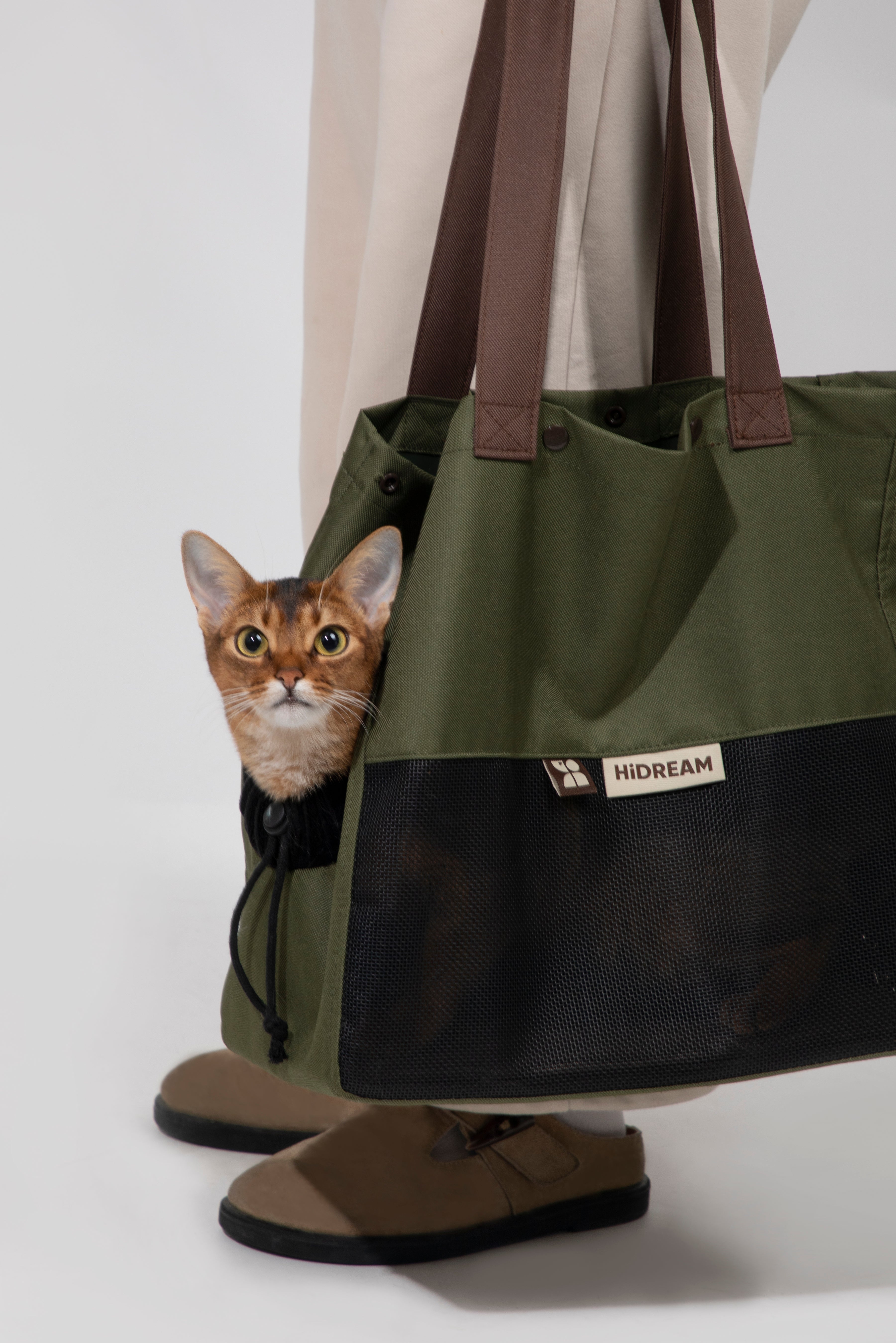 Cat sitting comfortably inside a pet shoulder carrier bag