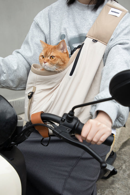 Cat sitting comfortably in a pet sling carrier