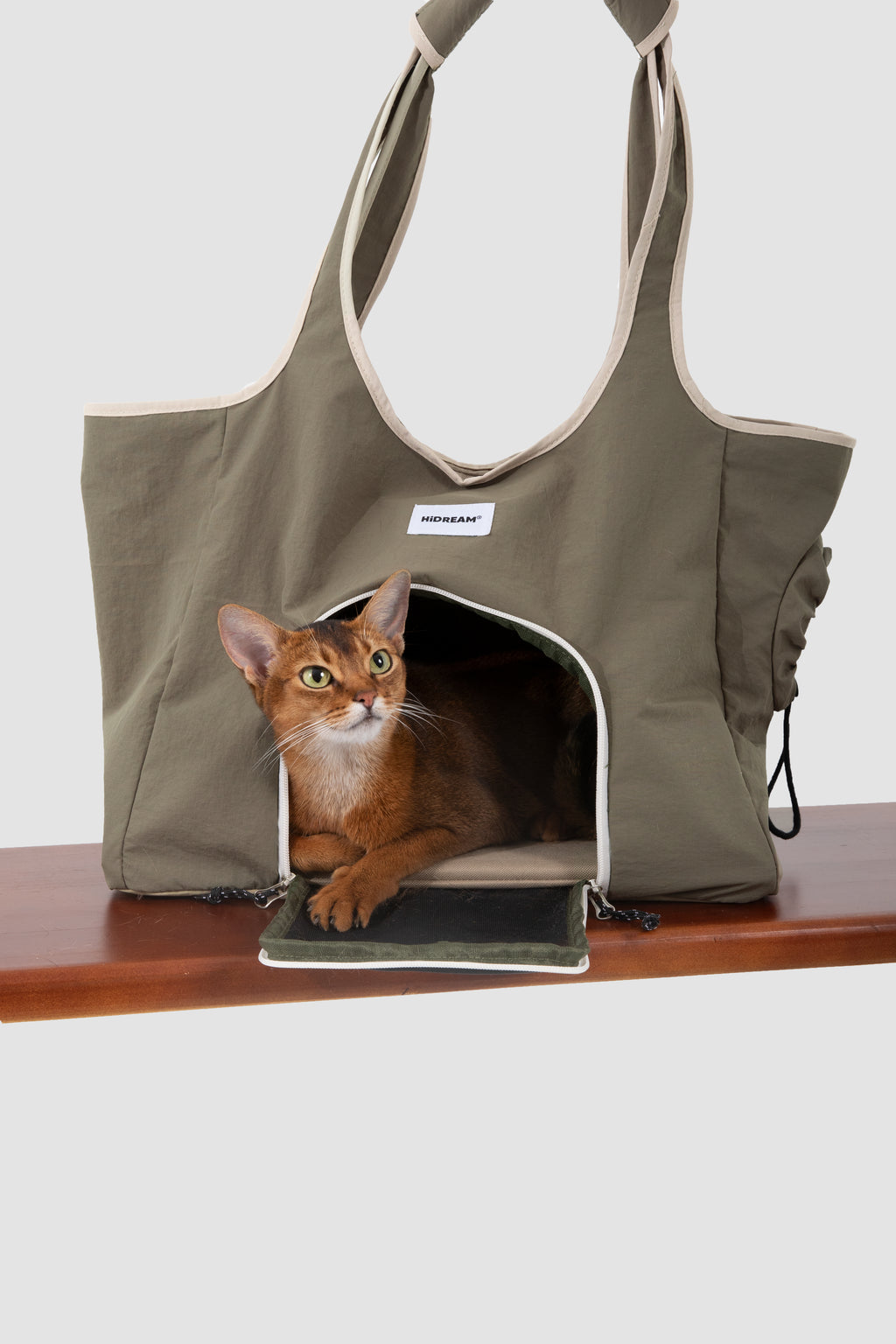 Cat sitting inside a structured pet tote carrier bag