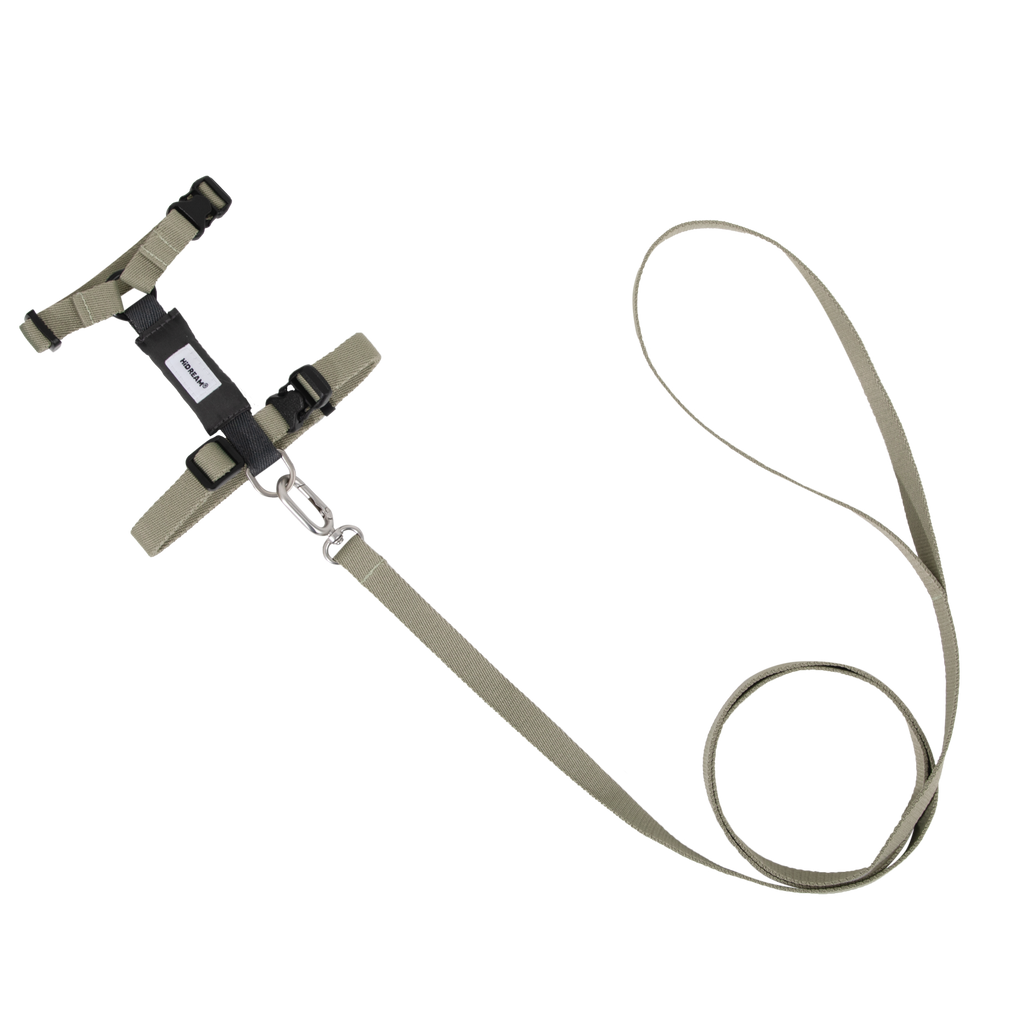 Adjustable H-style dog harness and lead set for small and medium dogs