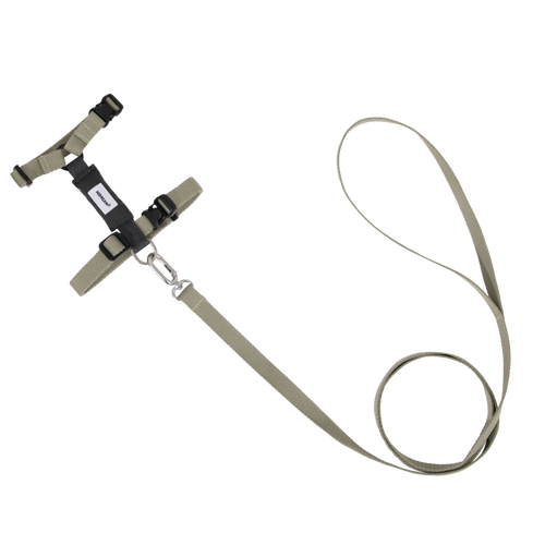 Adjustable H-style dog harness and lead set for small and medium dogs