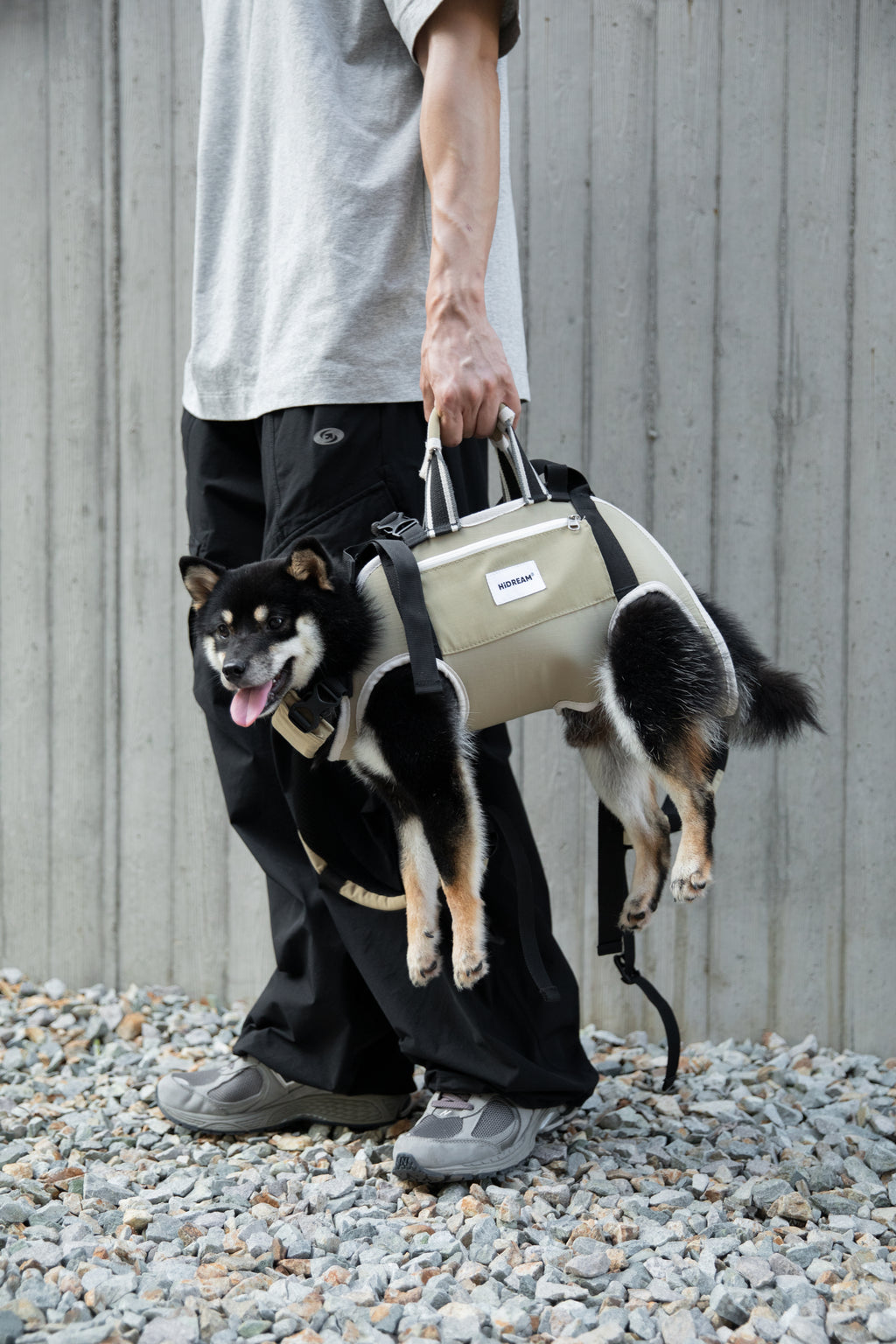 Pet backpack carrier being carried with a small dog inside