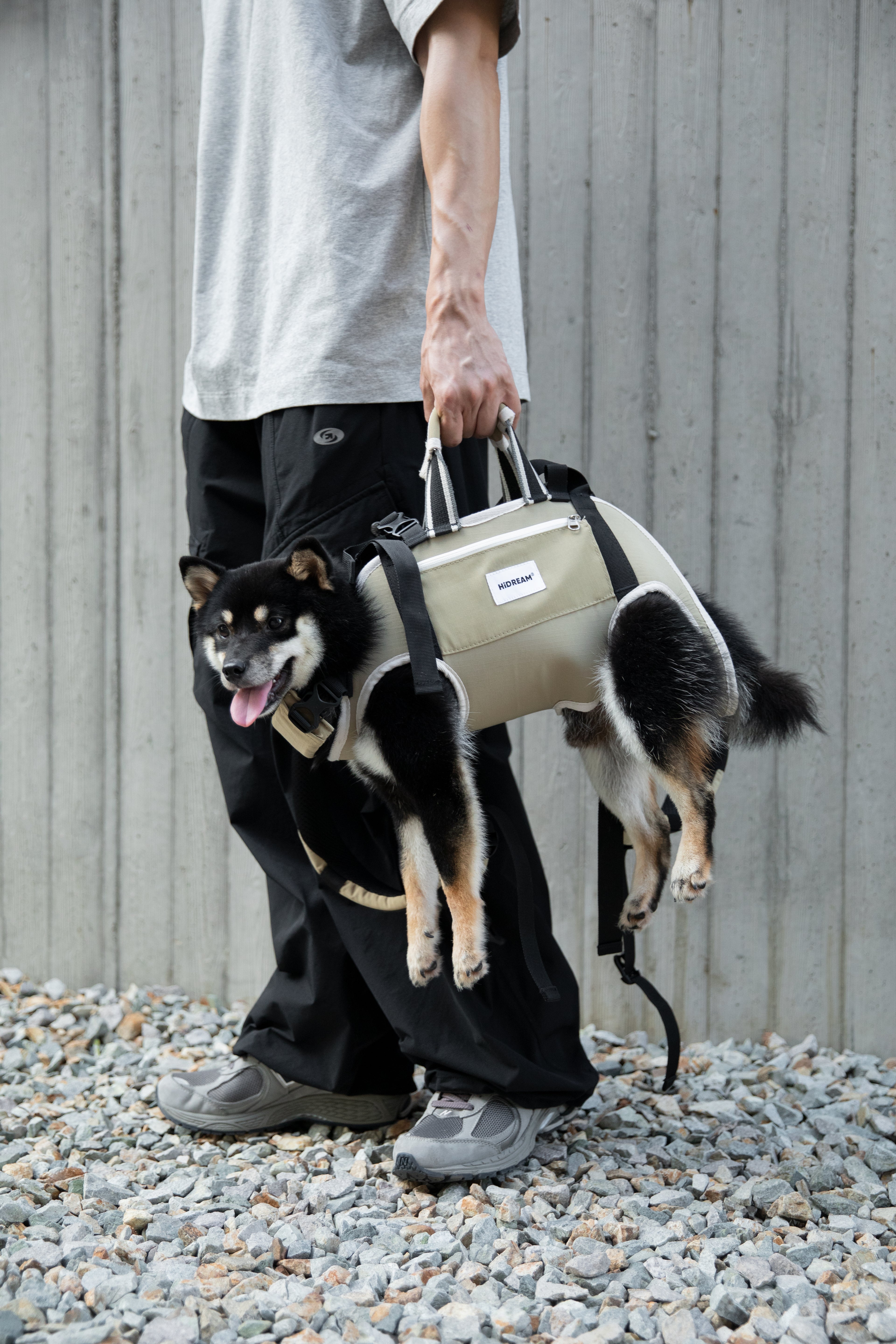 Pet backpack carrier being carried with a small dog inside