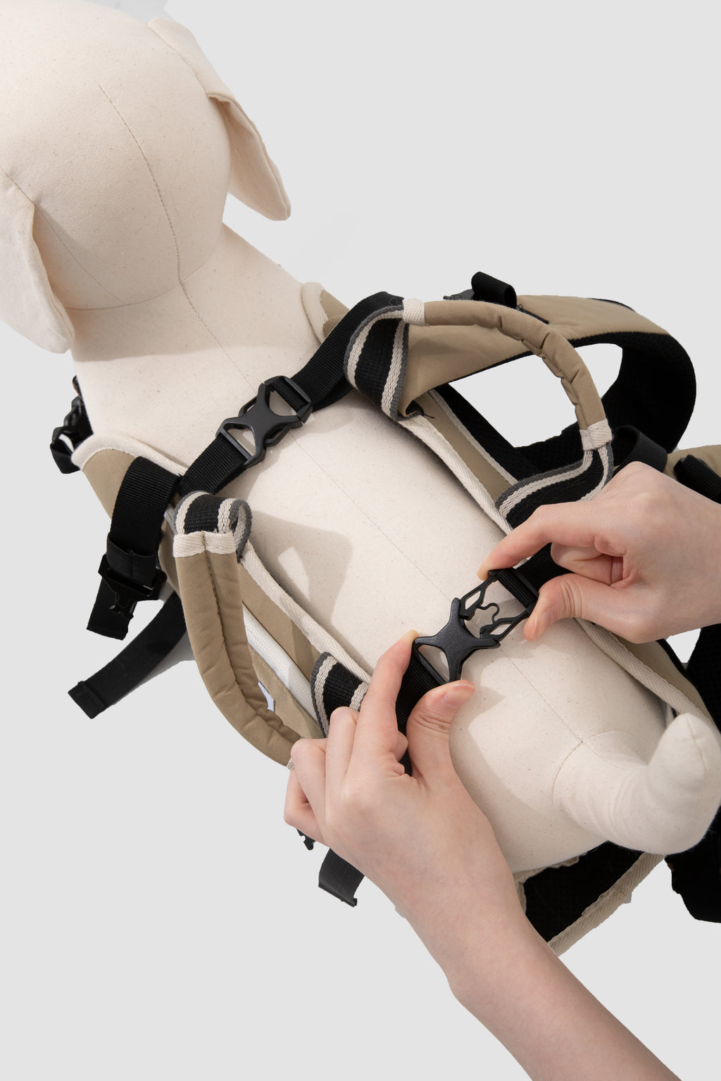 Safety buckle detail on an ergonomic pet backpack carrier