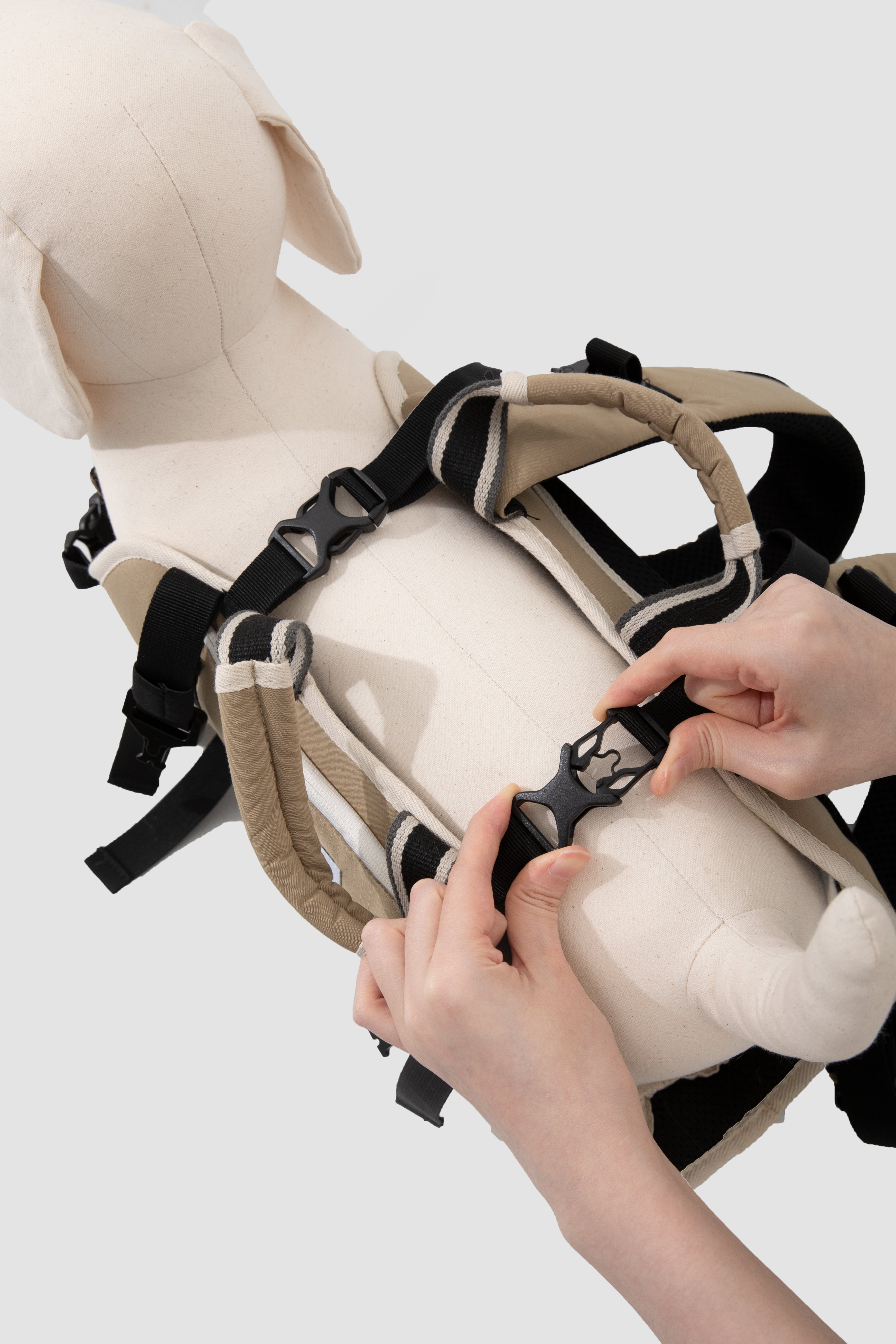 Safety buckle detail on an ergonomic pet backpack carrier