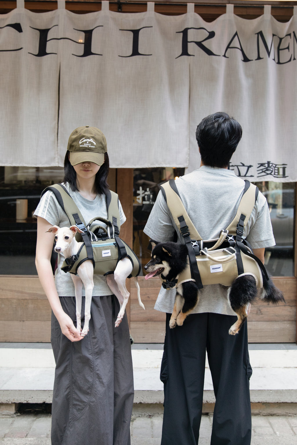 Pet backpack carrier designed for comfortable travel with pets