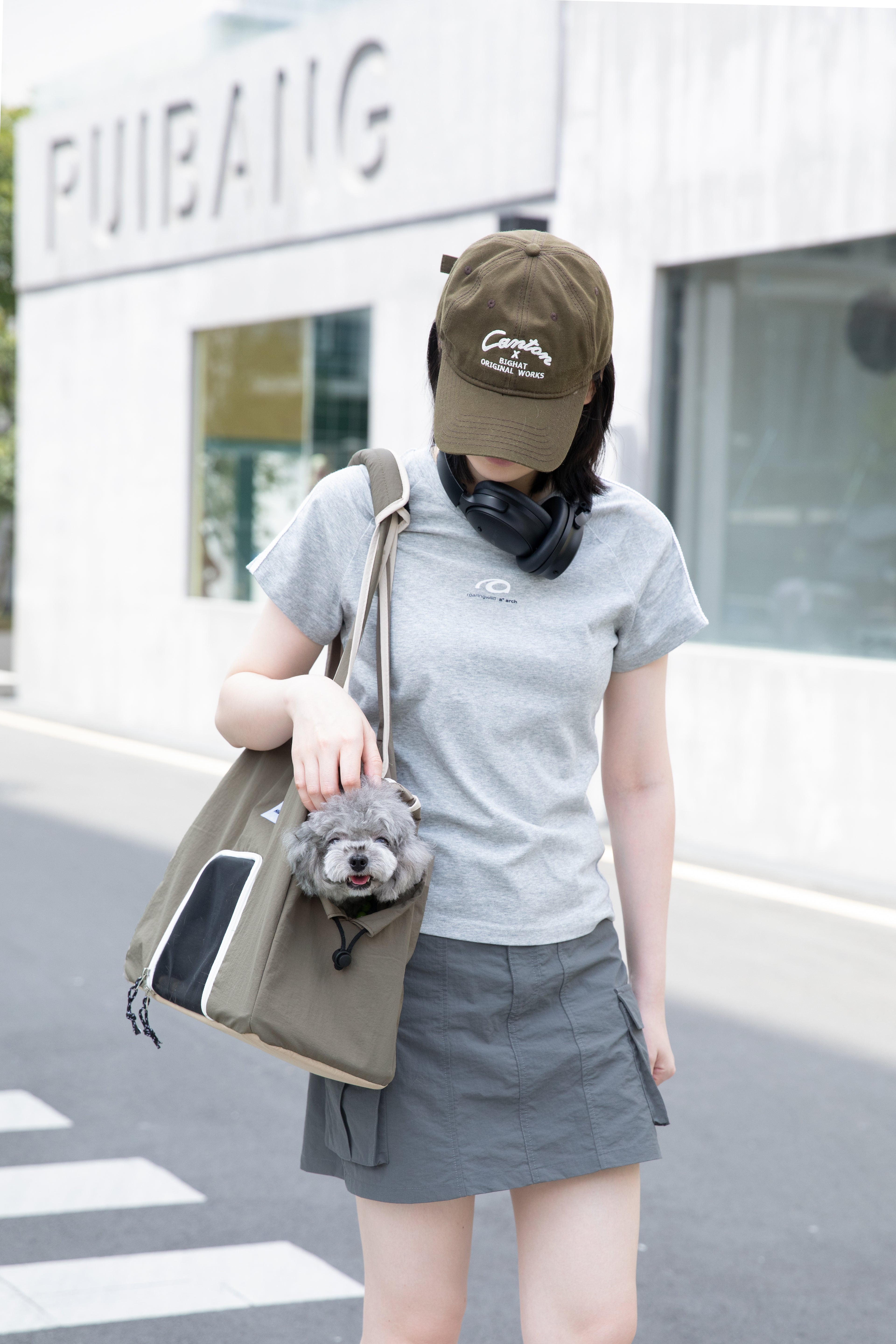 Pet tote carrier bag for everyday city walks and travel