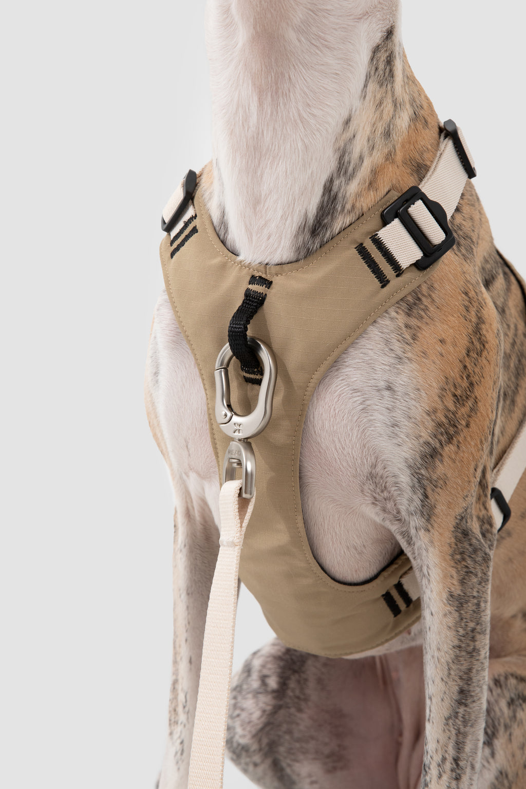 Front pressure relief design on a dog harness