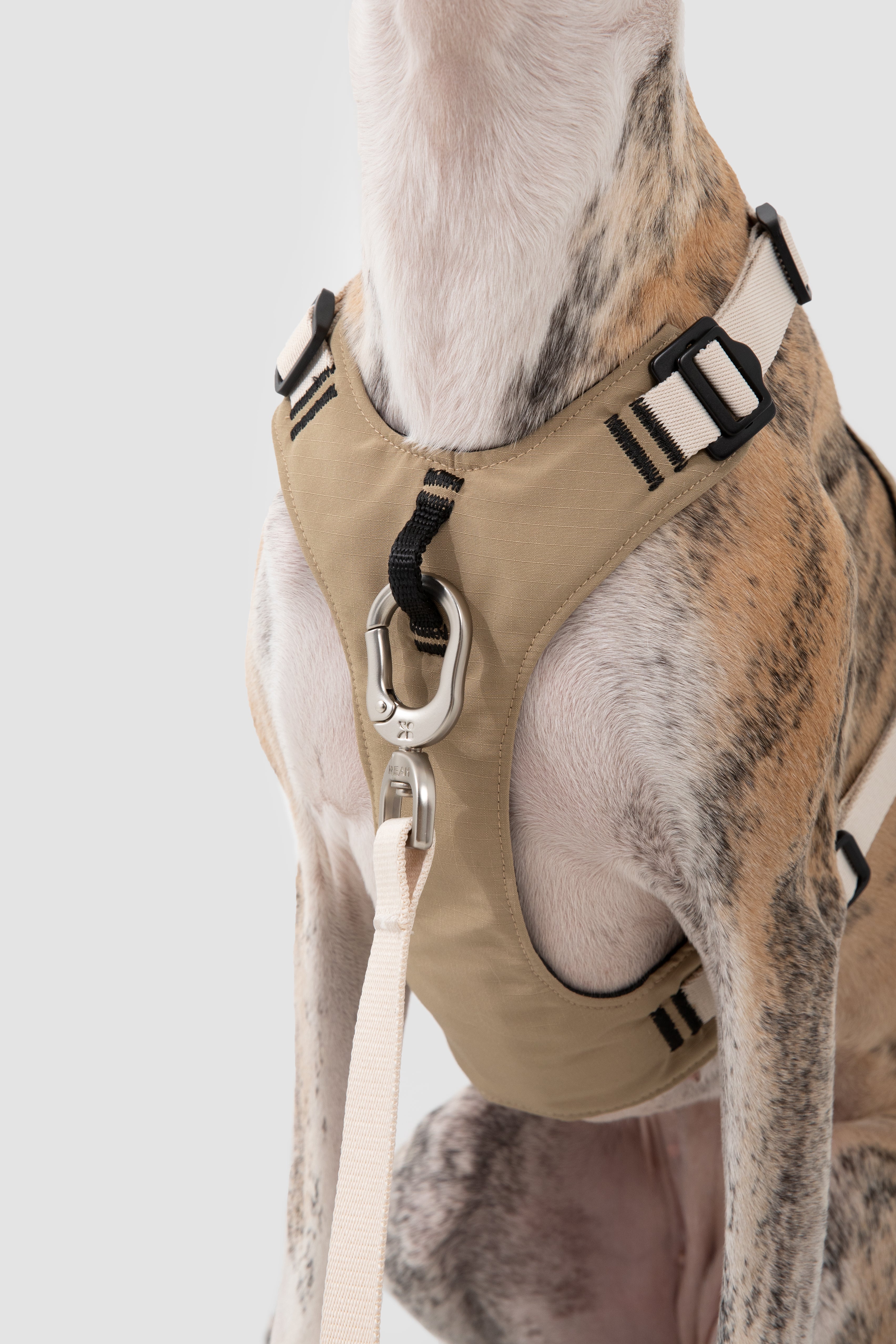 Front pressure relief design on a dog harness