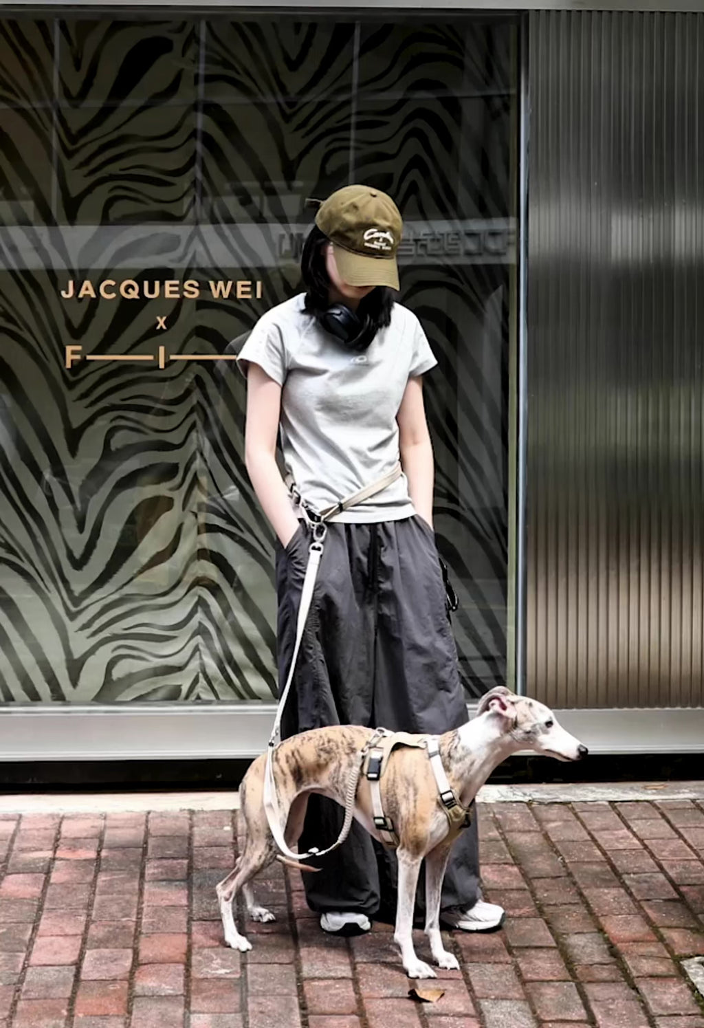 Pressure Relief Dog Harness