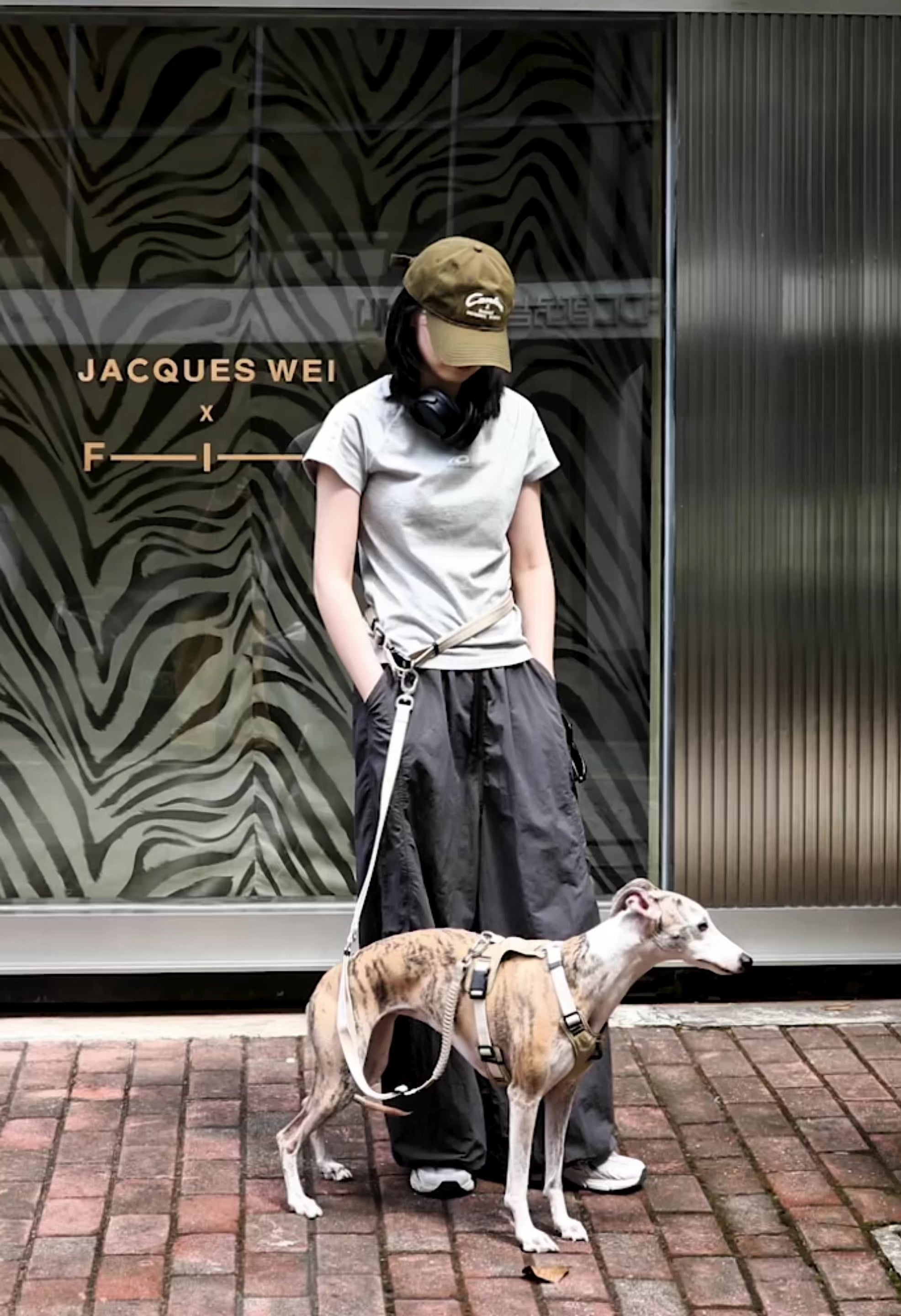 Pressure Relief Dog Harness