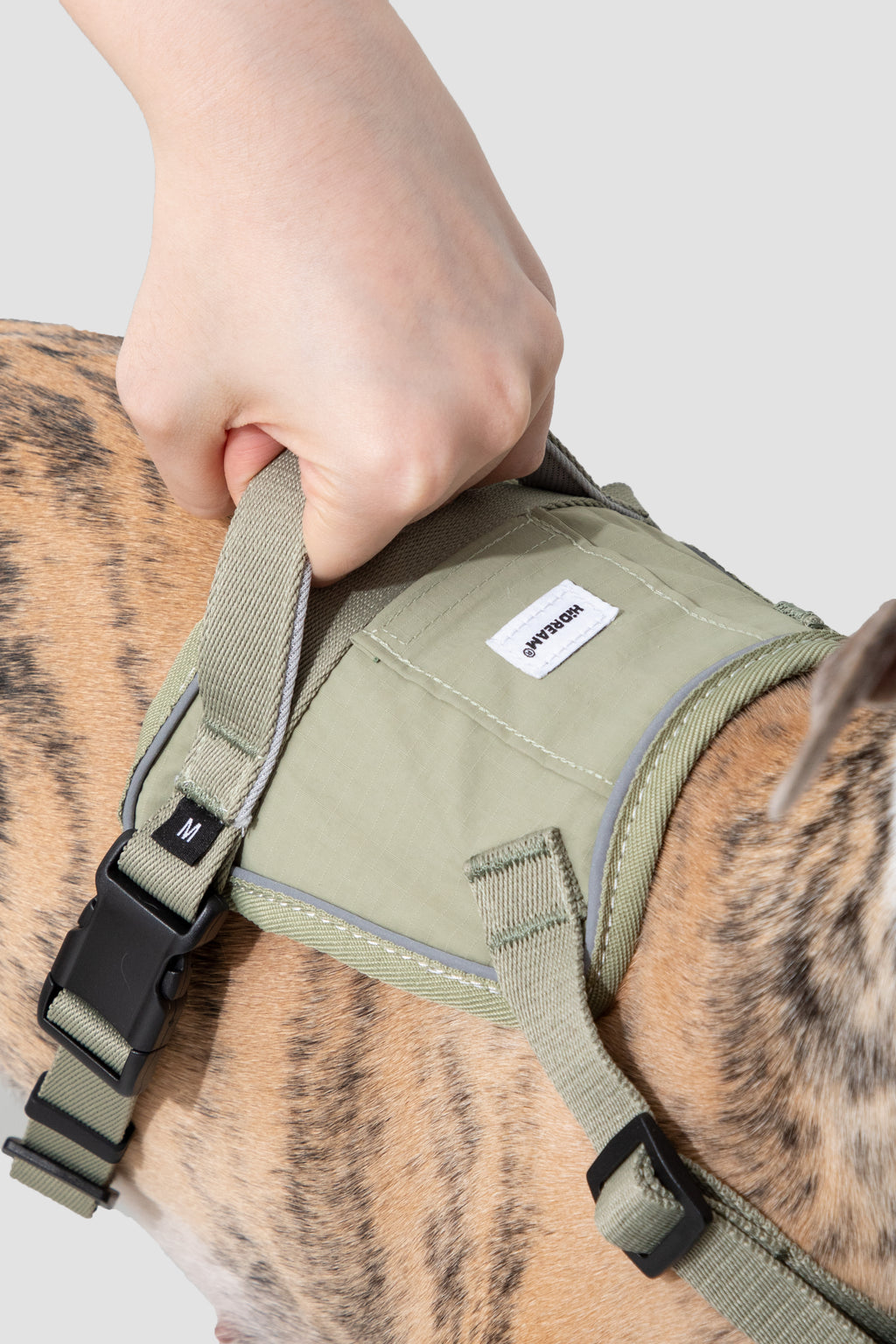 Quick-fit dog harness with easy buckle fastening